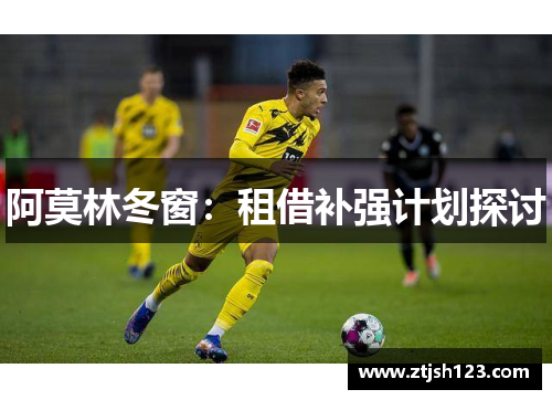 阿莫林冬窗：租借补强计划探讨